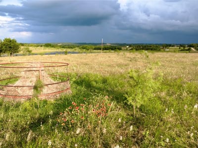 Photo 5 of 20 at 414 Cr 463 - Bruceville-Eddy, Bruceville-Eddy, TX