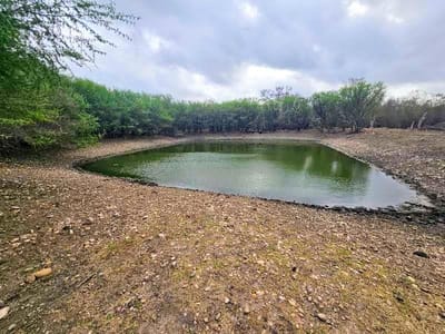 Property photo 3 at 415 Black Watch LN - A097, Lockhart, TX