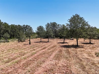 Property photo 4 at 4177 Old Colony Line RD - Spanish Oak Acres, Lockhart, TX