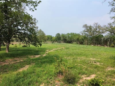 Primary bedroom at 4177 Old Colony Line Rd - Spanish Oak Acres, Lockhart, TX