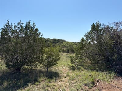 Primary bedroom at 4213 Crawford Rd - Gw Scott Surv 50, Spicewood, TX