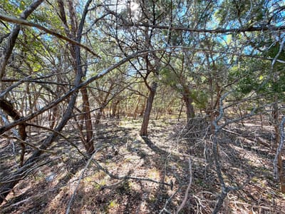 Primary bedroom at 426 Clay Rdg - Tanglewood Shores, Canyon Lake, TX
