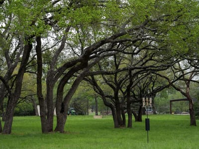 Primary bedroom at 426 Mill RUN - n/a, New Braunfels, TX