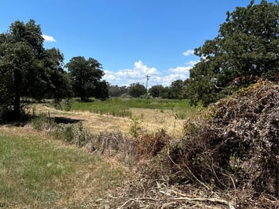 Property photo 3 at 426 Shiloh RD - Rousseau, Mozea, Bastrop, TX
