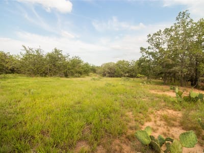 Primary bedroom at 437 Firefly Field Ln - Heritage Grove, Seguin, TX