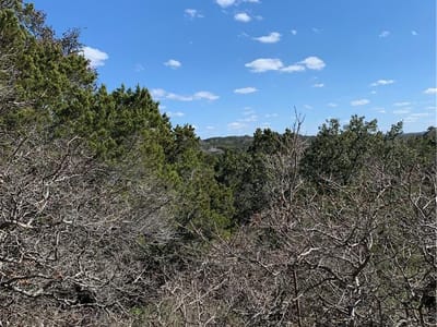 Property photo 2 at 441 Cliffview CIR - Canyon Lake, Canyon Lake, TX