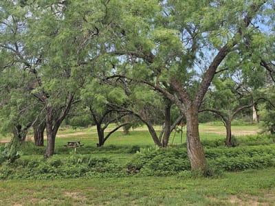 Photo 4 - 441 County Road 433 Photo 4 of 9 at 441 County Road 433 - Mullin, Mullin, TX