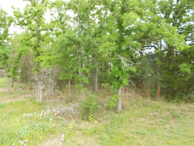 Living area at 441 Tom Tom - Indian Lake Sec 2, Smithville, TX