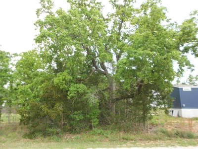 Primary bedroom at 441 Tom Tom - Indian Lake Sec 2, Smithville, TX