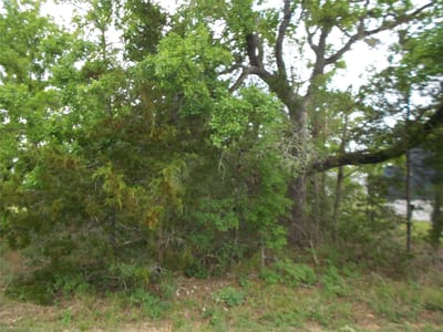 Bathroom at 441 Tom Tom - Indian Lake Sec 2, Smithville, TX