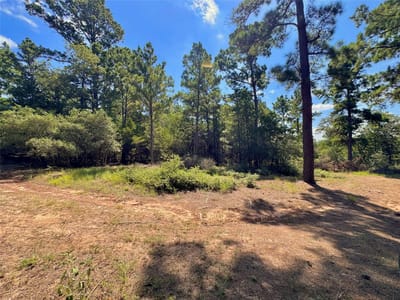 Property photo 2 at 445 Pine Valley LOOP - Pine Valley Estates, Smithville, TX