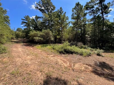 Property photo 3 at 445 Pine Valley LOOP - Pine Valley Estates, Smithville, TX
