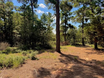 Property photo 5 at 445 Pine Valley LOOP - Pine Valley Estates, Smithville, TX