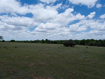 Property photo 2 at 446 Herron TRL - A335, McDade, TX