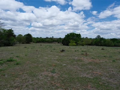 Property photo 4 at 446 Herron TRL - A335, McDade, TX