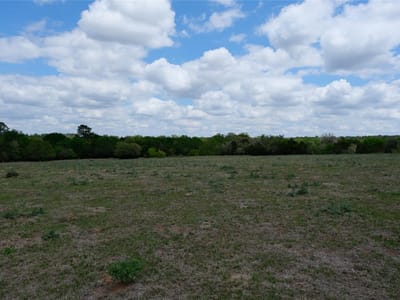 Property photo 5 at 446 Herron TRL - A335, McDade, TX