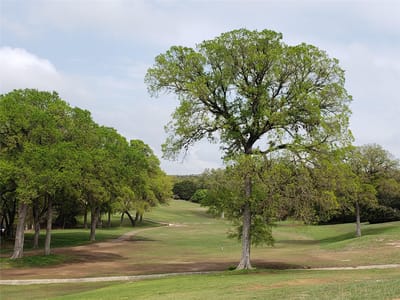 Property photo 3 at 4504 Outpost TRCE - Lago Vista Country Club Estate, Lago Vista, TX