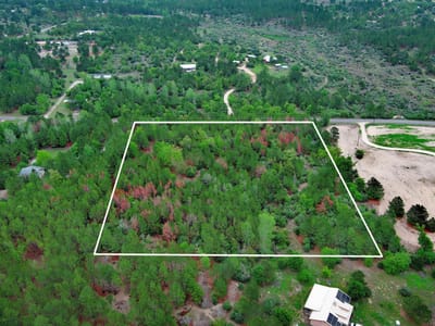 Property photo 5 at 453 Kelley RD - K C Estates, Bastrop, TX