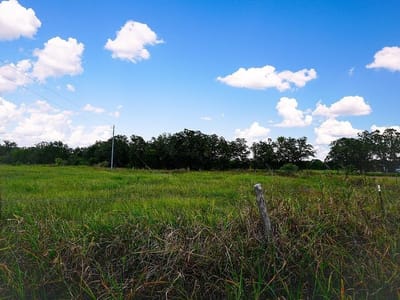 Primary bedroom at 4810 Burke RD - n/a, Flatonia, TX