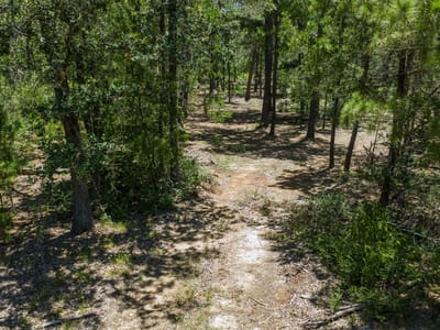 Property photo 4 at 492 S Old Potato RD - A 354- Wilburn, Matilda, Paige, TX