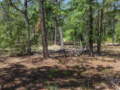 Property photo 5 at 492 S Old Potato RD - A 354- Wilburn, Matilda, Paige, TX