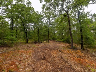 Primary bedroom at 492 S Old Potato Rd - Wilburn, Matilda, Paige, TX