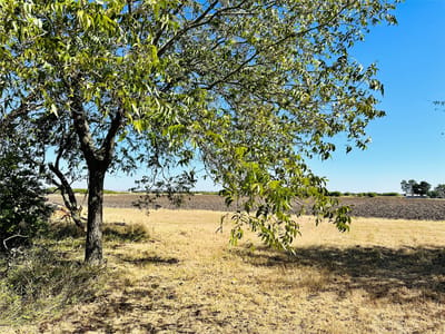 Living area at 4983 Fm 619 - Margaret McDaniel Surv Abs #44, Taylor, TX