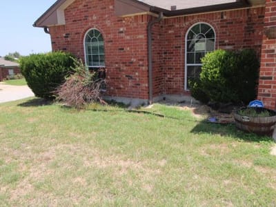 Kitchen at 501 Mesquite CIR - 3 bed 2 bath home
