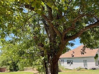 Primary bedroom at 505 E 4th St - City Park-Cameron, Cameron, TX