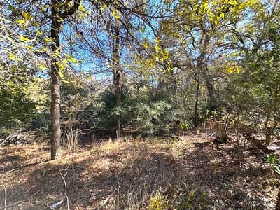 Property photo 3 at 506 Tahitian DR - Tahitian Village,, Bastrop, TX
