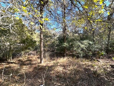 Property photo 4 at 506 Tahitian DR - Tahitian Village,, Bastrop, TX
