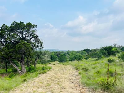 Primary bedroom at 509 Greystone Rd - Hurlbut Ranch West, Dripping Springs, TX