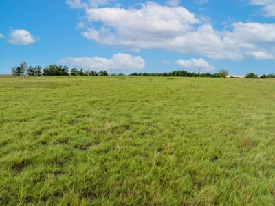 Primary bedroom at 5275 CR 424 Rd - X003LLLI - Thrall ISD Vacant Lnd/Abst, Thrall, TX