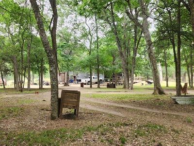 Living area at 5353 Old Colony Line Rd - A235 PERSON, EDMUND H., ACRES 5.0, LOT 4 SPRING CR, Lockhart, TX