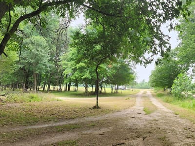 Kitchen at 5353 Old Colony Line Rd - A235 PERSON, EDMUND H., ACRES 5.0, LOT 4 SPRING CR, Lockhart, TX