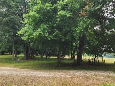Primary bedroom at 5353 Old Colony Line Rd - A235 PERSON, EDMUND H., ACRES 5.0, LOT 4 SPRING CR, Lockhart, TX