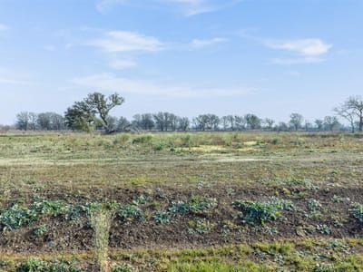 Property photo 4 at 536 Northwest River RD - Riverview Residences Sub, Martindale, TX
