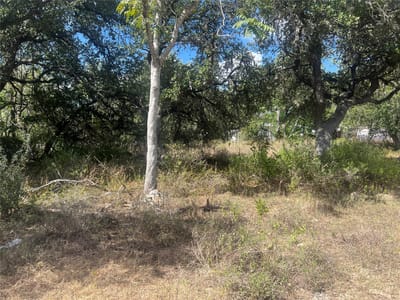 Property photo 2 at 542 Flintstone DR - Canyon Lake, Canyon Lake, TX