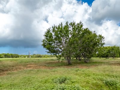 Living area at 5485 County Road 249 Way - The Settlement Patriot Ranch, Gonzales, TX