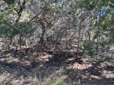 Primary bedroom at 55 York Creek Rd - Rolling Oaks Ranch Sec 4, Driftwood, TX