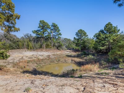 Living area at 555 Altamira Ln - A404, Dale, TX