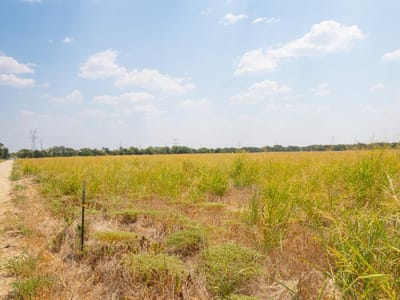 Primary bedroom at 5647  Cr 429 - Thorndale, TX