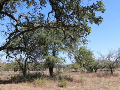 Living area at 5688 Fm 2325 - NA, Wimberley, TX