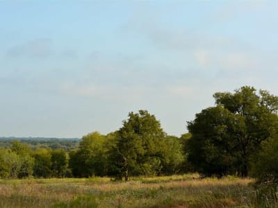 Primary bedroom at 569 TBD Burdette Wells Rd - Lockhart, TX