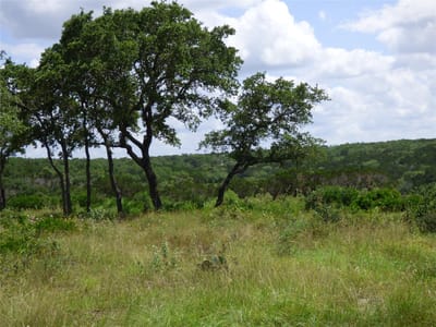 Primary bedroom at 5771 Hilliard Rd - Lost River Ranches, San Marcos, TX