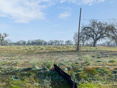 Property photo 2 at 598 Northwest River Rd - Riverview Residences Sub, Martindale, TX