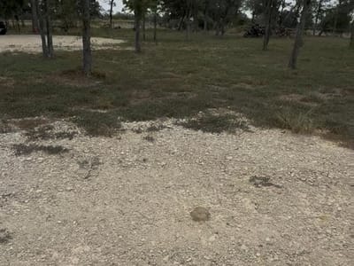 Property photo 2 at 6070 Farm to Market 672 - Ranch 672 Development, Dale, TX