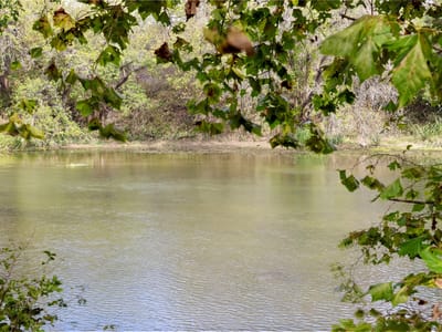 Property photo 4 at 611 FM 969 - Tarcoola Ranch, Bastrop, TX