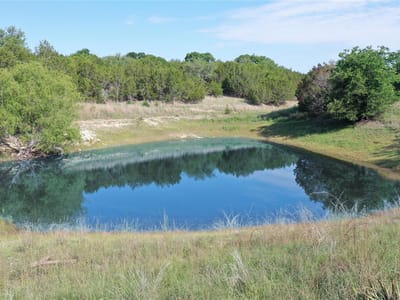 Bathroom at 612 Crestwood Dr - River Ridge Ranch Sec Iii, Killeen, TX
