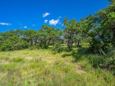Property photo 4 at 613 Cattle Creek RD - The Preserve at Walnut Springs, Johnson City, TX